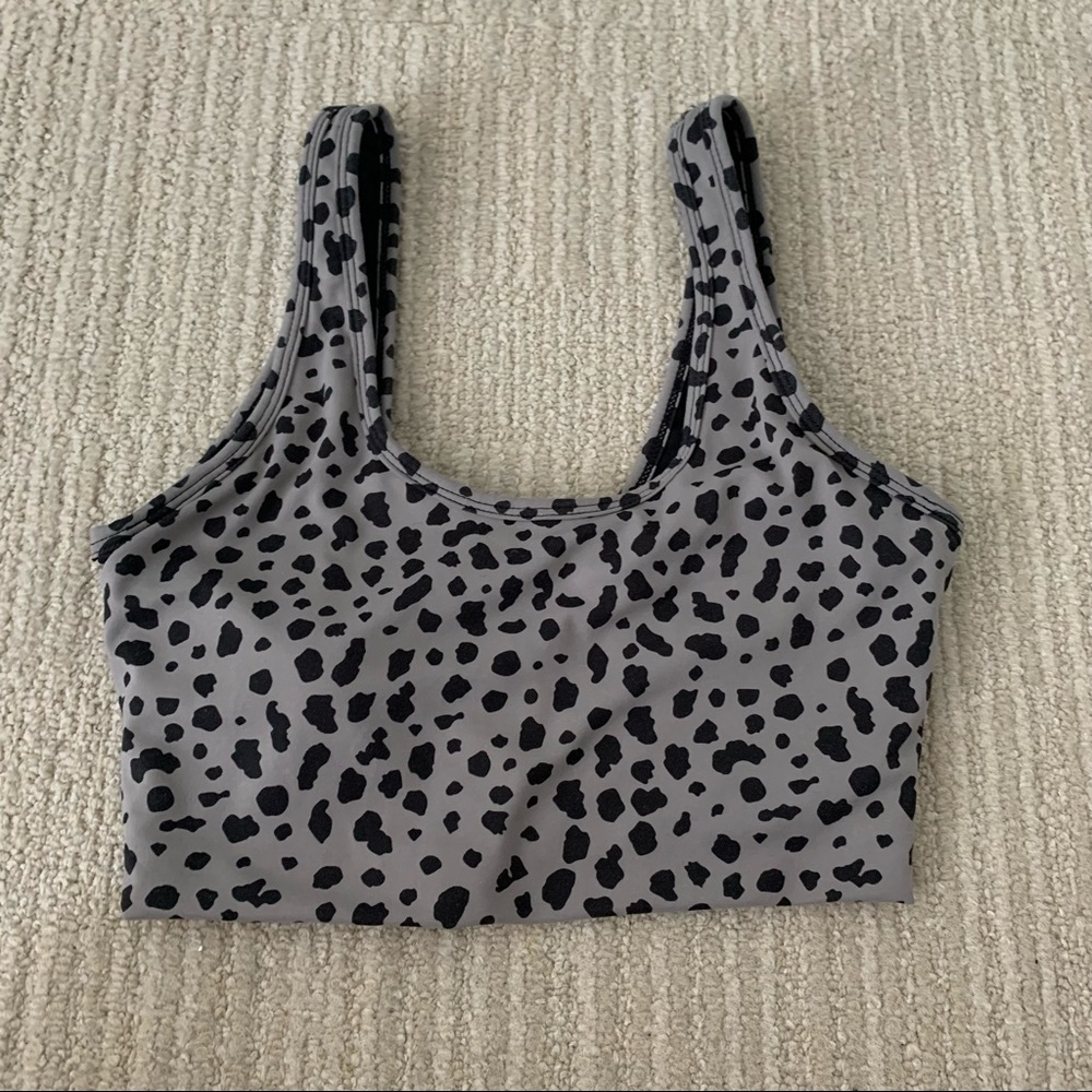 Animal Kingdom 2.0 Snow Leopard Midnight Top